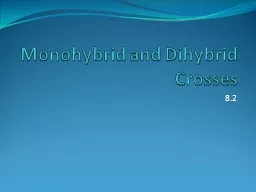 Monohybrid and