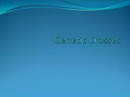 Genetic Crosses