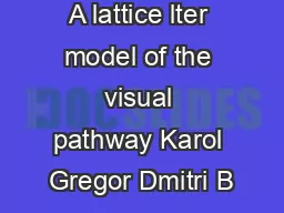A lattice lter model of the visual pathway Karol Gregor Dmitri B