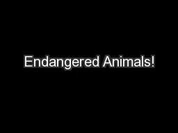 Endangered Animals!