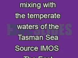 The warm waters from Coral Sea travel the East Australian Current mixing with the temperate