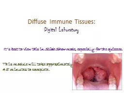 Diffuse Immune Tissues:
