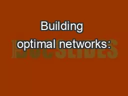 Building optimal networks:
