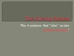 The Cueing System