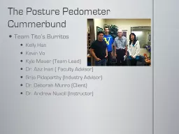 The Posture Pedometer Cummerbund
