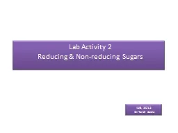 Lab Activity 2