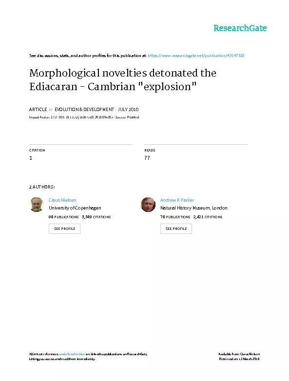 MorphologicalnoveltiesdetonatedtheEdiacaran--Cambrian