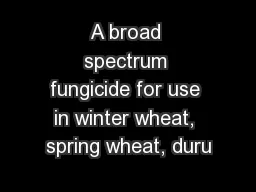A broad spectrum fungicide for use in winter wheat, spring wheat, duru