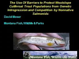 The Use Of Barriers to Protect Westslope Cutthroat Trout Po