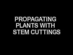 PROPAGATING PLANTS WITH STEM CUTTINGS
