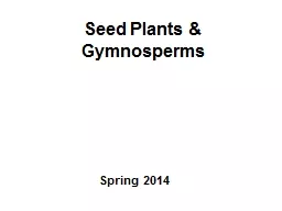 Seed Plants & Gymnosperms