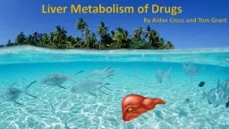Liver Metabolism of Drugs