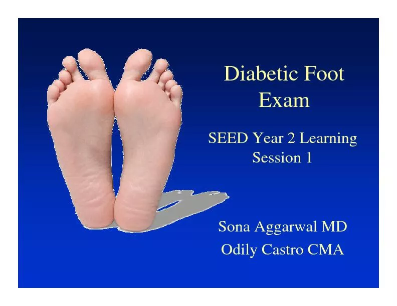 Diabetic Foot ExamSEED Year 2 Learning Session 1Sona Aggarwal MDOdily
