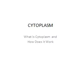 CYTOPLASM