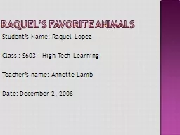 Raquel’s Favorite Animals