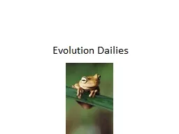 Evolution Dailies