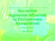 Damselfish Aggression Influenced by Environmental Manipulat