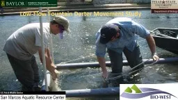 Low-Flow Fountain Darter Movement Study