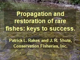 Propagation and restoration of rare fishes: keys to success