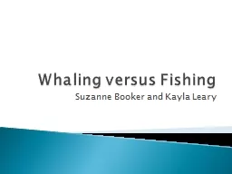Whaling versus Fishing