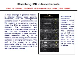 Stretching DNA in Nanochannels