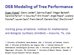 DEB Modeling of Tree Performance