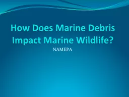 How Does Marine Debris