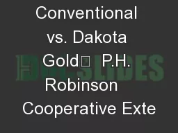 Conventional vs. Dakota Gold  P.H. Robinson   Cooperative Exte