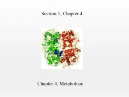 Chapter 4, Metabolism