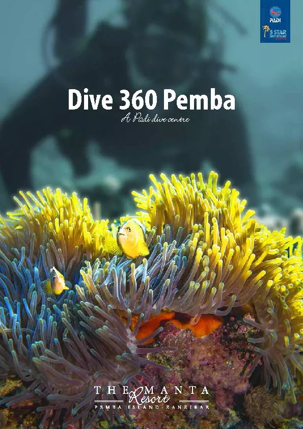 About Dive 360 Pemba e diving around Pemba is nothing else but breath