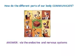 How do the different parts of our body COMMUNICATE?