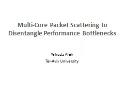 Multi-Core Packet Scattering to Disentangle Performance Bot