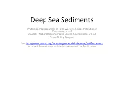 Deep Sea Sediments