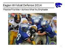 Eagan Wildcat Defense 2014
