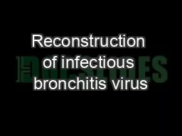 Reconstruction of infectious bronchitis virus