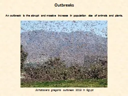 Outbreaks