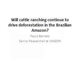Will cattle ranching continue to drive deforestation in the