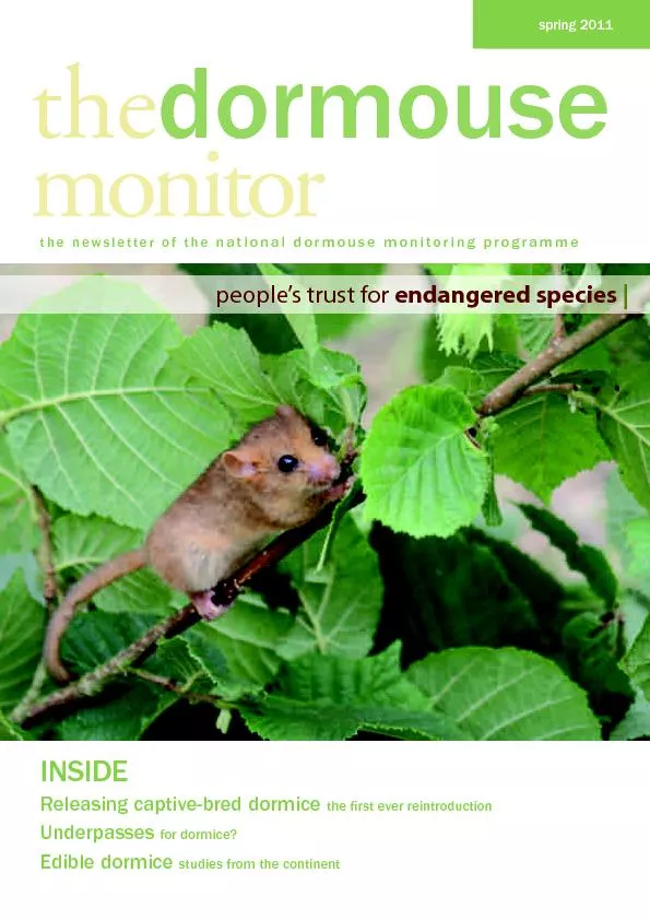 the newsletter of the national dormouse monitoring programmeReleasing