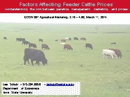 Factors Affecting Feeder Cattle Prices