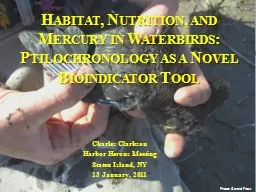 Habitat, Nutrition, and Mercury in Waterbirds: Ptilochronol