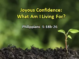 Joyous Confidence: