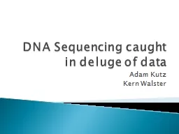 DNA Sequencing caught in deluge of data