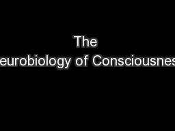 The Neurobiology of Consciousness