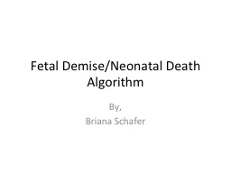 Fetal Demise/Neonatal Death