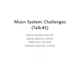 Muon System: Challenges