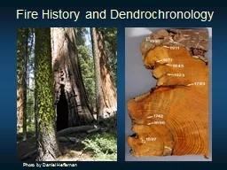 Fire History and Dendrochronology