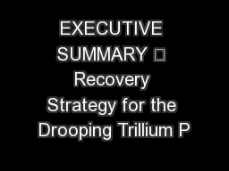 EXECUTIVE SUMMARY – Recovery Strategy for the Drooping Trillium P