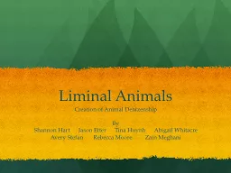 Liminal Animals