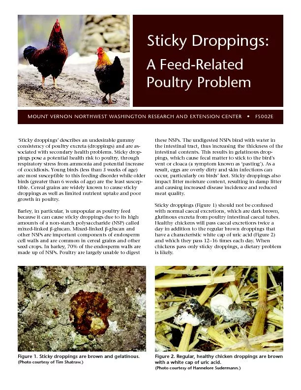Poultry ProblemMOUNT VERNON NORTHWEST WASHINGTON RESEARCH AND EXTENSIO