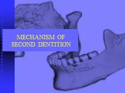 MECHANISM OF SECOND DENTITION
